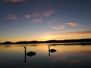 Fototapeta premium idyllic sunset
