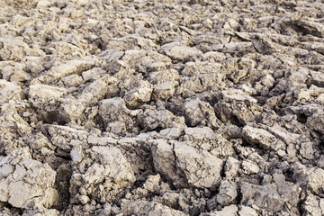 Dry land in the countryside