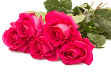 Bouquet of pink roses