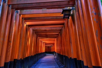 The Fushimi Inari Shrine, Kyoto