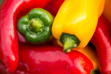 Summer harvest. Freshly picked, red, green and yellow sweet peppers, laying in grass in garden. Healthy eating, fresh food, vegetables, vitamins, diet, fitness. Making fresh salads for dinner. Tasty