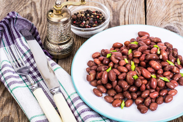 Spicy dish of red beans with green onions and spices