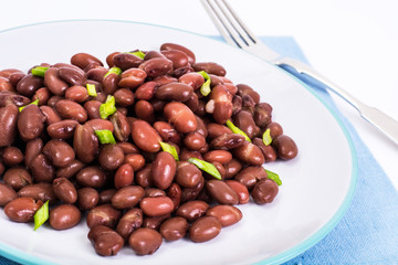 Spicy dish of red beans with green onions and spices