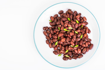 Spicy dish of red beans with green onions and spices
