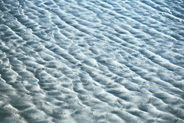 Sandy surface in Latvia, White Dune, Saulkrasti.