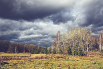 Summer landscape in countryside
