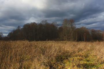 Autumn landscape in countryside