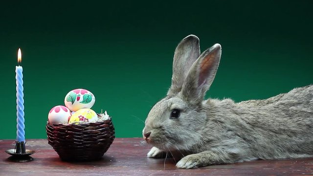 Cute rabbit on the table next to a wicker basket with Easter eggs and burning candle