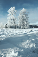 Obraz premium Beautiful winter landscape