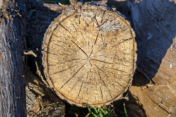 The Log In Section. Close-Up.