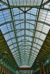 Covent Gardeb roof