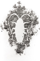 Cockroach silhouette drawing made in ash, dust, dirt, filth as fumigation, pest extermination, disease control concept