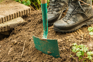 Work gardening. Retired dig for plants.