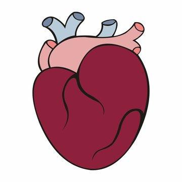 A heart. Stylized vector illustration