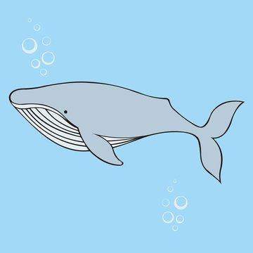 Whale. Vector illustration on a blue background