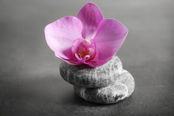 Naklejka na ściany i meble Spa pebble with beautiful orchid on grey background