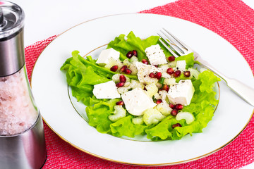 Lettuce, celery, feta, pomegranate seeds on a white