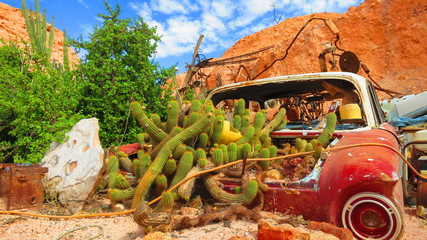 Classic car Outback garden in Coober Pedy, Australia - cactuses and desert plants growing on scraped rusty car