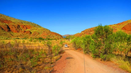 Outback australia - driving 4x4 4 wheel drive jeep off road through dirt track to camping spot near Lake Argyle