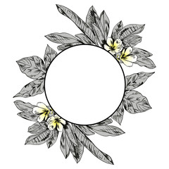 Exotic flowers set. Botanical vector vintage illustration.