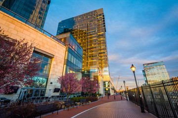 Modern buildings and the Waterfront Promenade in Harbor East, Baltimore, Maryland.