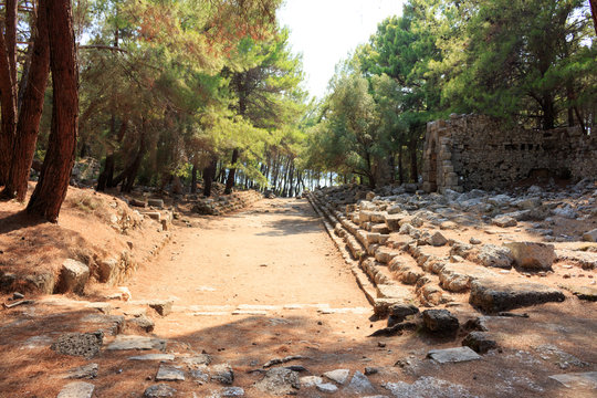 Ruins of the ancient town at Phaselis, Antalya, Turkey