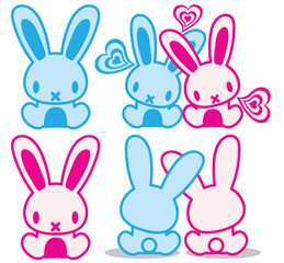 The stuffed toy of the rabbit