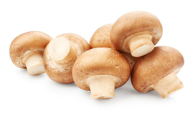 Fototapeta na wymiar Mushrooms isolated on white background