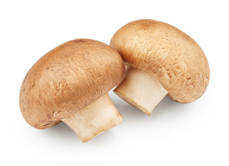 Champignon mushrooms