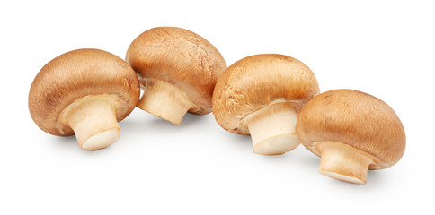 Champignon mushrooms