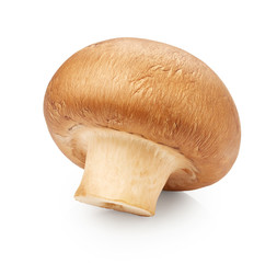 Mushroom isolated on white background
