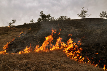 

The real environmental disaster and spring is not arson dry cut grass that grew around settlements