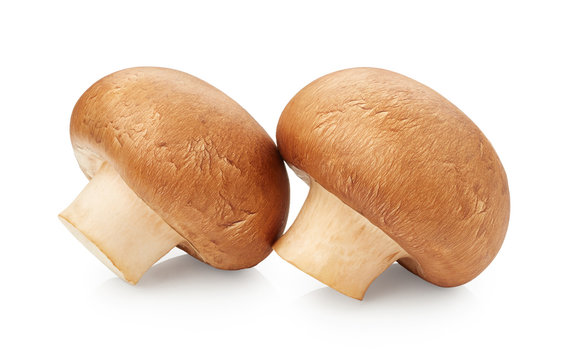 Mushrooms isolated on white background