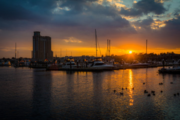 Fototapeta na wymiar Sunset over a marina in Harbor East, Baltimore, Maryland.