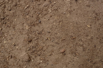close-up of sand soil background