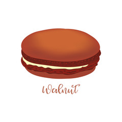 French macaroon. Vector illustration.