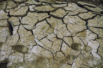 Dry Cracked Earth. Natural Background