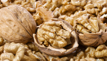 Many walnuts shelled and in-shell macro
