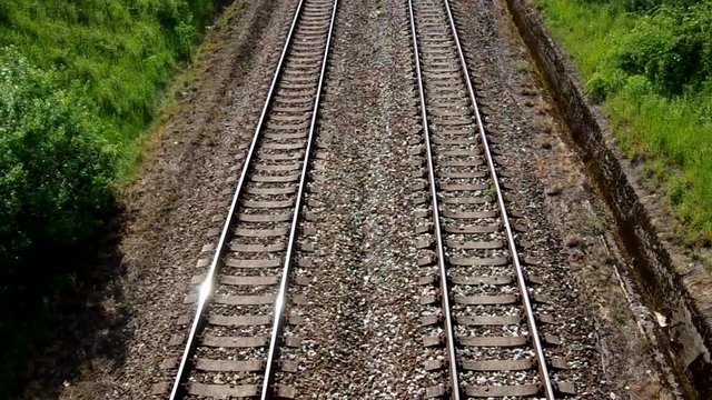 The double railway line in transit through a nature
