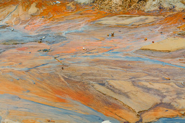 Mud Clay Sand Shells Water after Rain