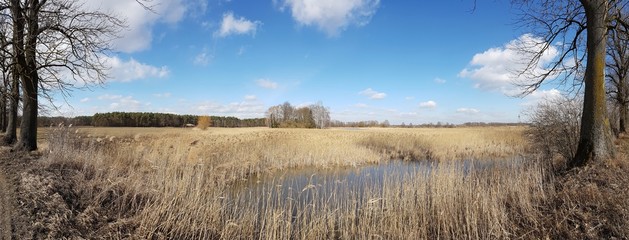 Przedwiośnie © michalsen