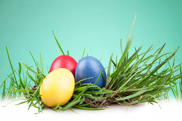 Easter colored eggs in the grass