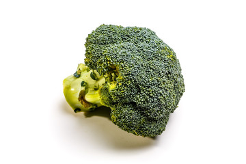 Raw broccoli on a white background. Not isolated.