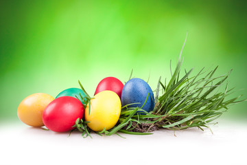 Easter colored eggs in the grass