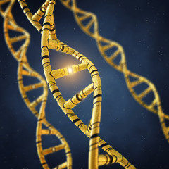 Genetically modified DNA molecules , GMO , Genetic engineering