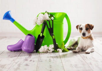 Garden accessories. Gardening