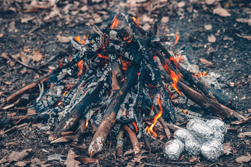 The fire in the forest