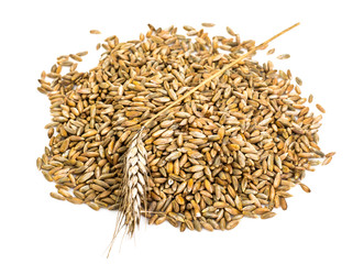 seeds of cereal crops on white background