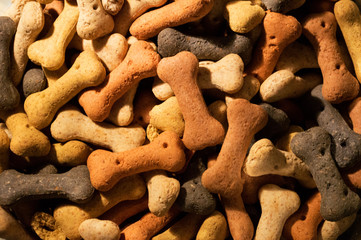 Mix of colorful dog biscuits in a bone shape. Colors include red, yellow and black.  - 139489096
