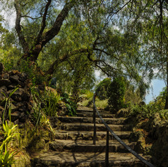 Fototapeta premium Parks and gardens of Melbourne